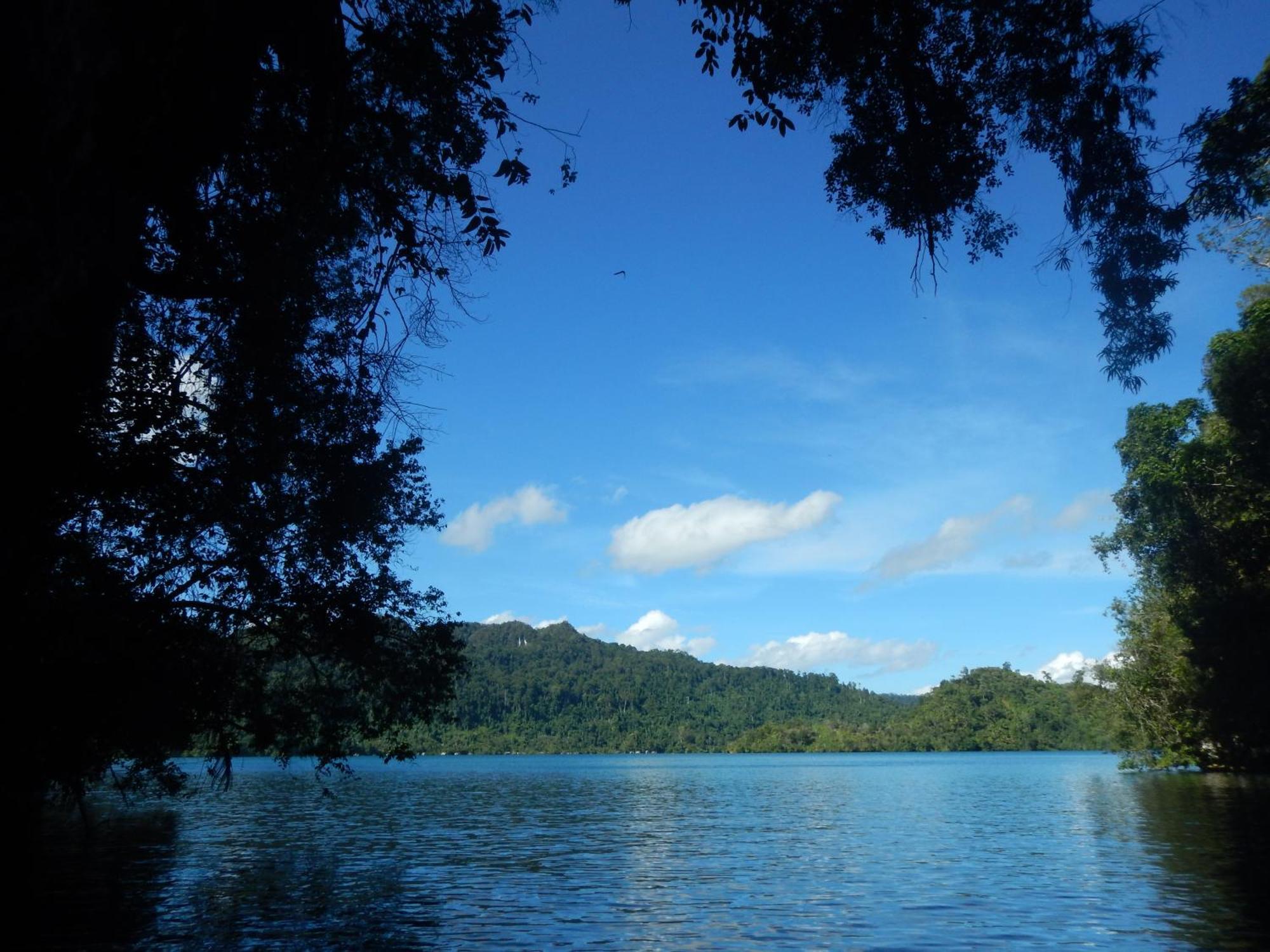 הוילה Besir Raja Ampat Blue Sea מראה חיצוני תמונה