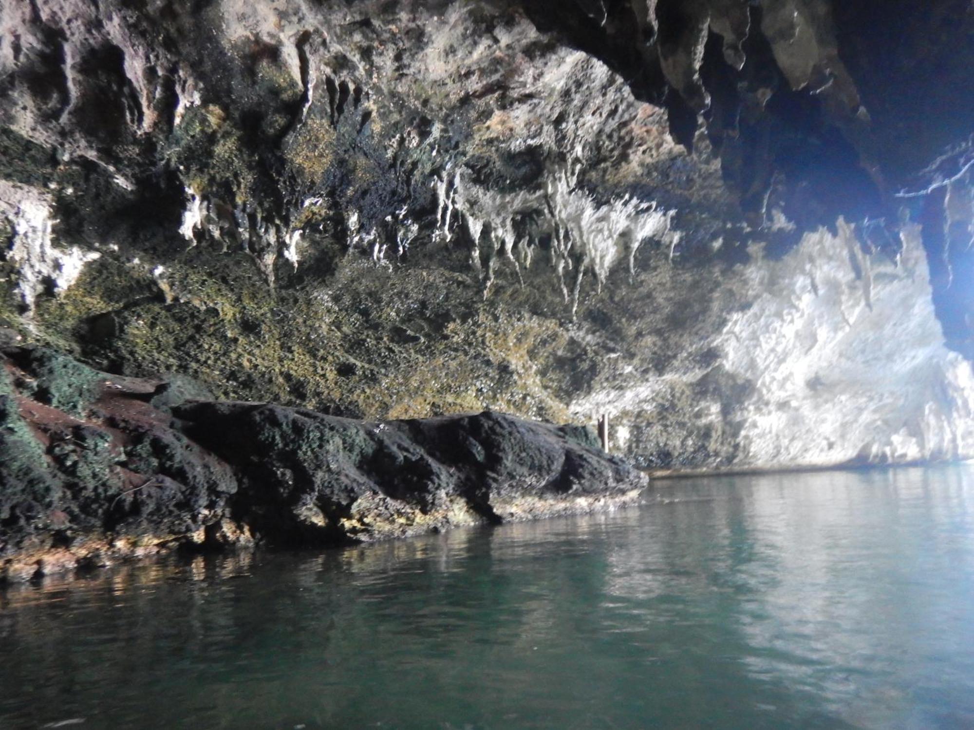 הוילה Besir Raja Ampat Blue Sea מראה חיצוני תמונה