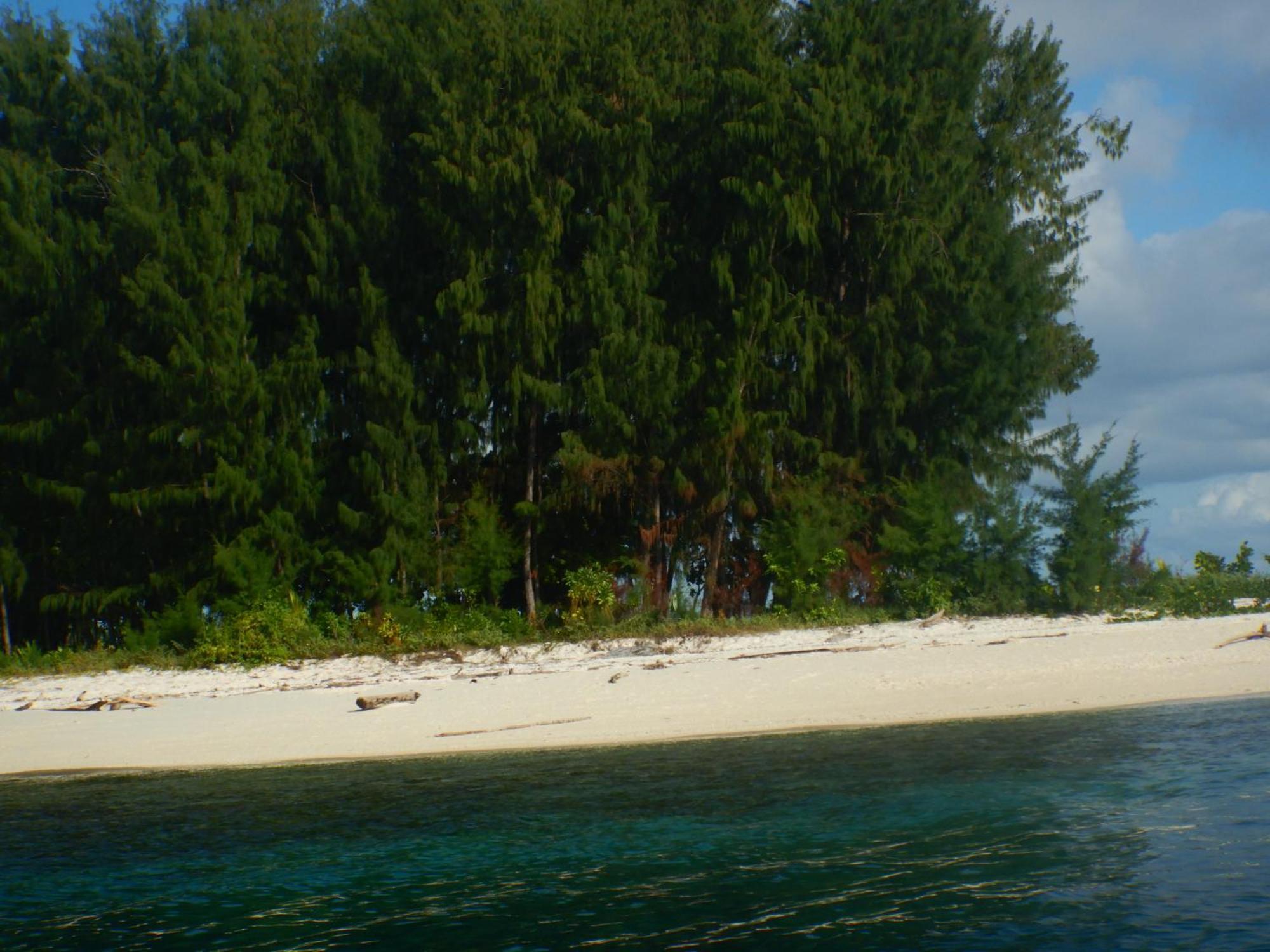 הוילה Besir Raja Ampat Blue Sea מראה חיצוני תמונה