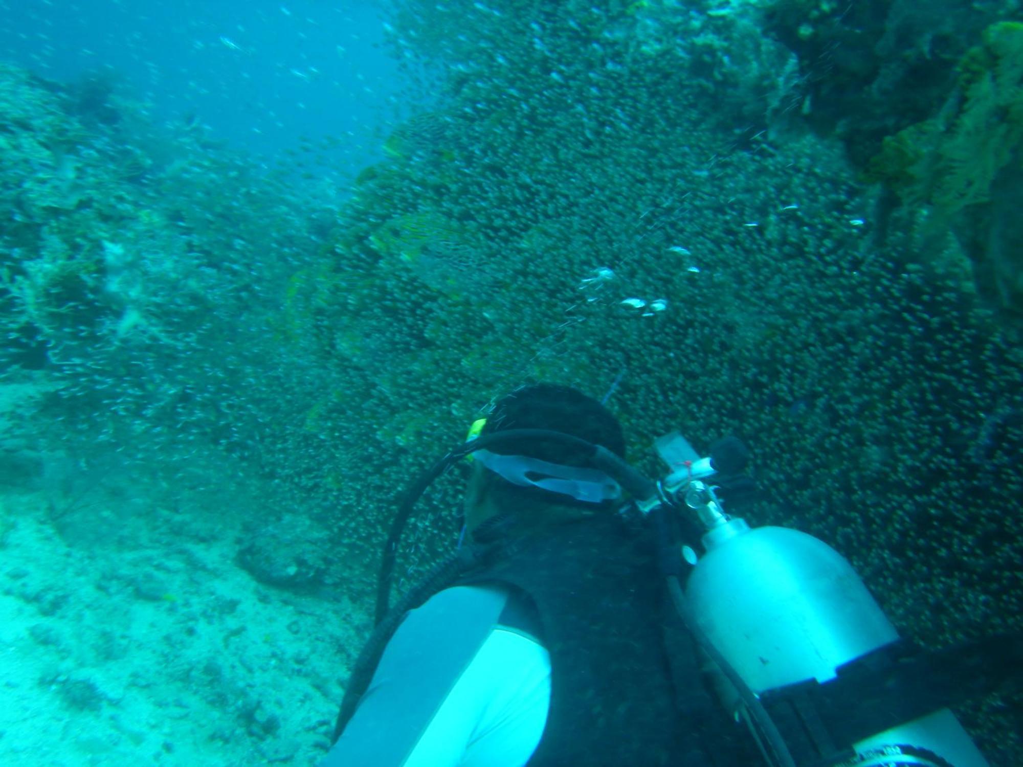 הוילה Besir Raja Ampat Blue Sea מראה חיצוני תמונה