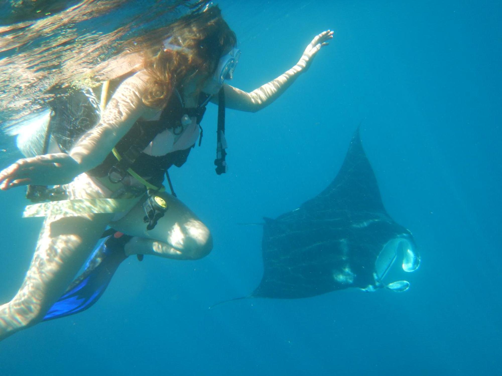 הוילה Besir Raja Ampat Blue Sea מראה חיצוני תמונה
