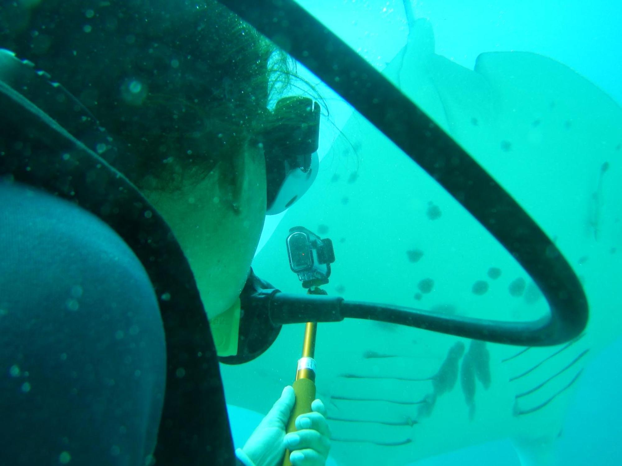הוילה Besir Raja Ampat Blue Sea מראה חיצוני תמונה