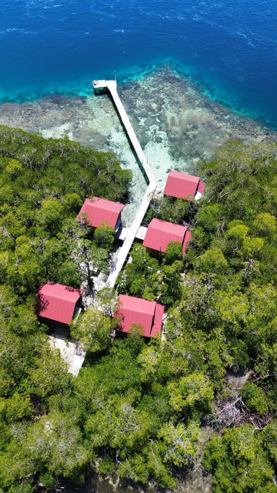 הוילה Besir Raja Ampat Blue Sea מראה חיצוני תמונה
