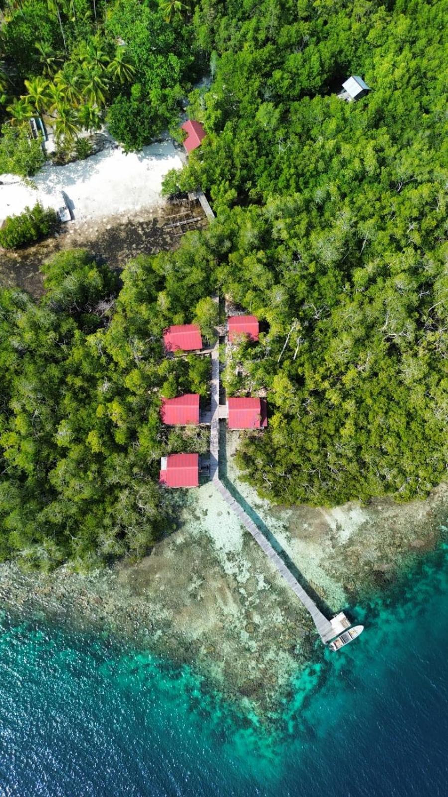 הוילה Besir Raja Ampat Blue Sea מראה חיצוני תמונה