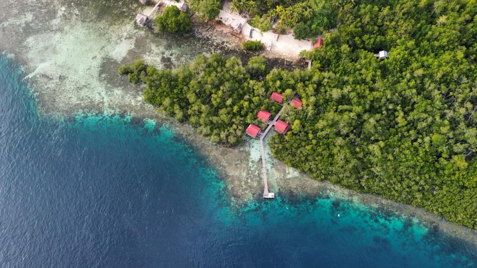 הוילה Besir Raja Ampat Blue Sea מראה חיצוני תמונה