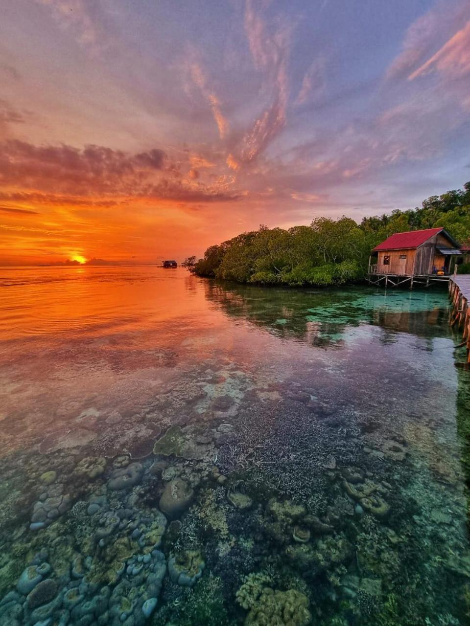 הוילה Besir Raja Ampat Blue Sea מראה חיצוני תמונה