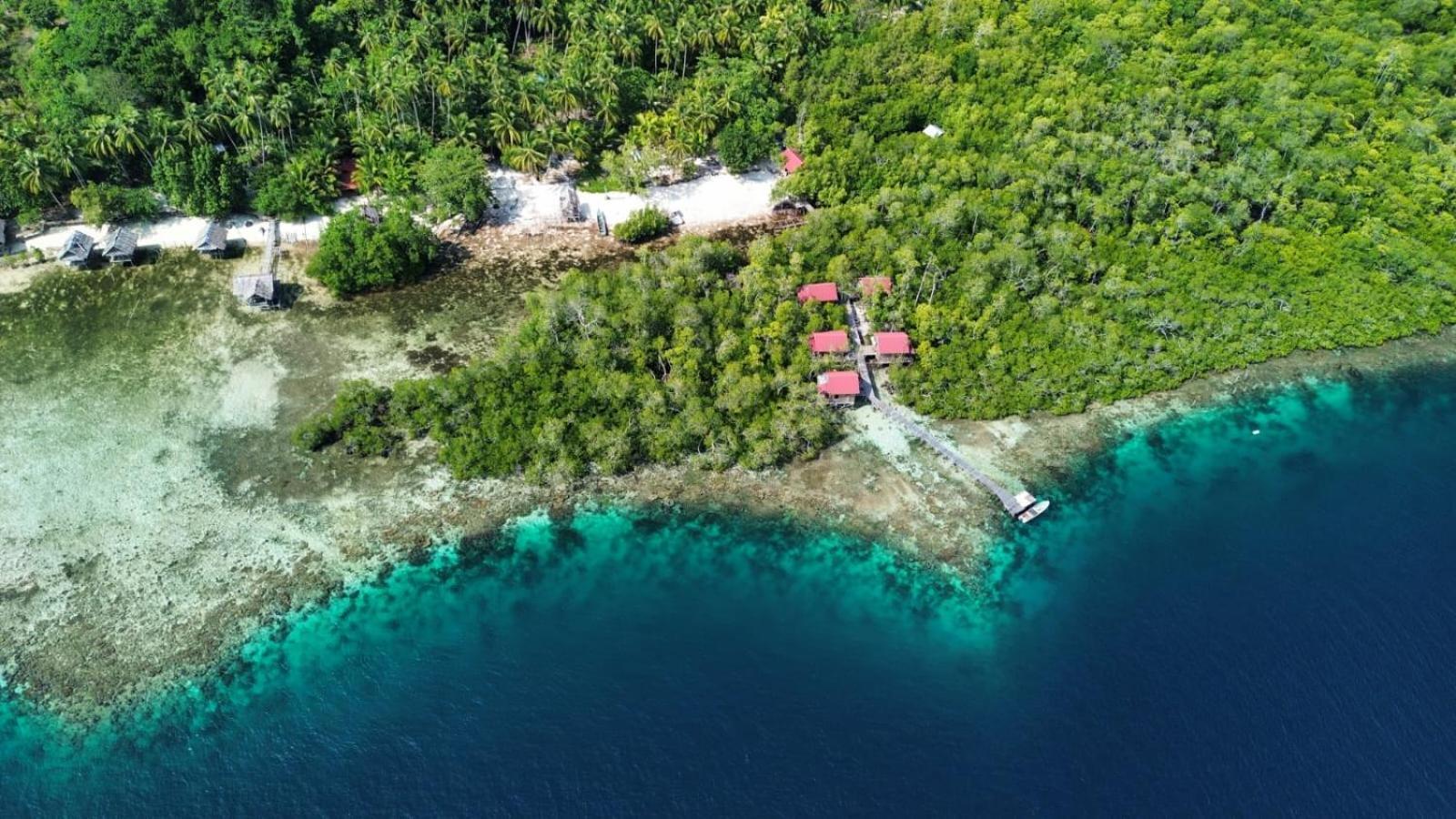 הוילה Besir Raja Ampat Blue Sea מראה חיצוני תמונה