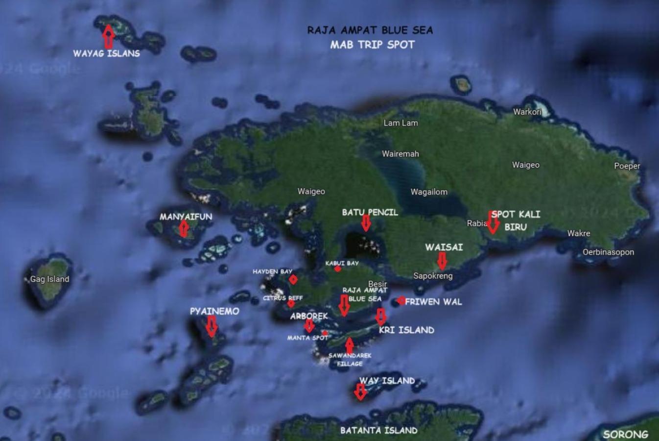 הוילה Besir Raja Ampat Blue Sea מראה חיצוני תמונה