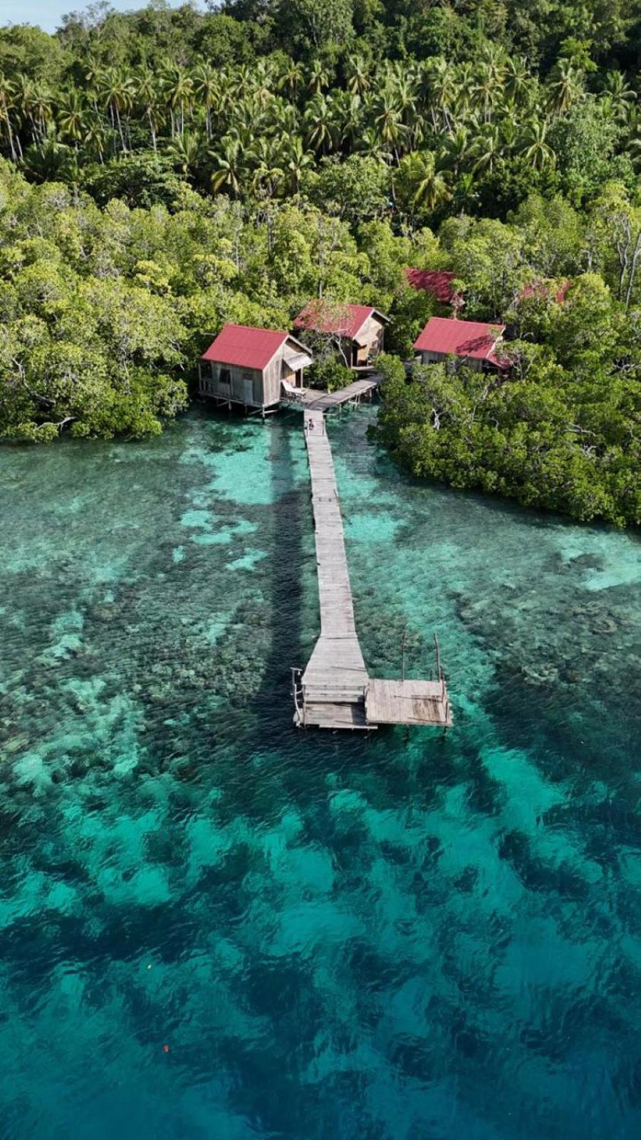 הוילה Besir Raja Ampat Blue Sea מראה חיצוני תמונה